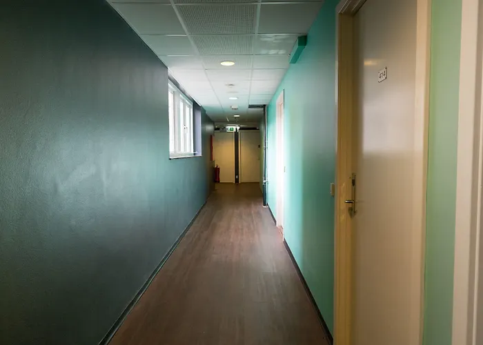 Auberge de jeunesse Downtown